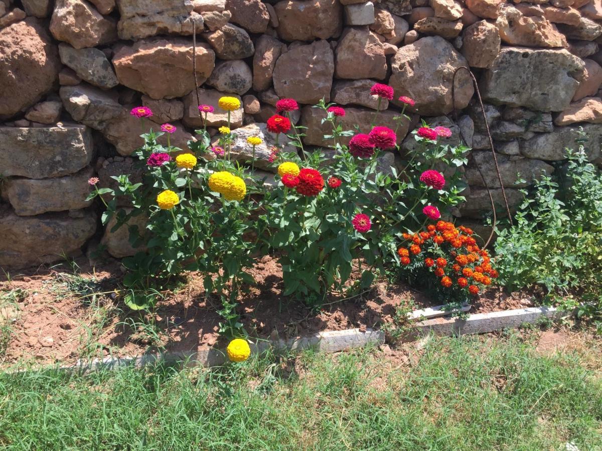 Casa De Newsham Bed & Breakfast Cabacos Екстериор снимка